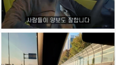  많이 부드러워졌다는 서울의 교통문화