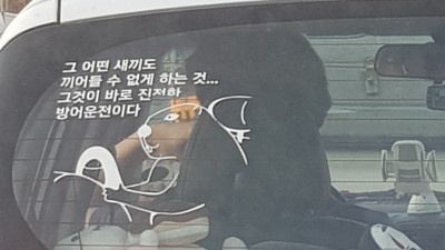 진정한 방어운전을 보았다.