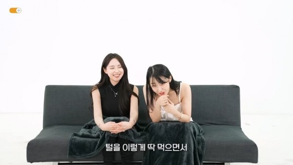 1090285184_qePIU2tn_1727141373.jpg