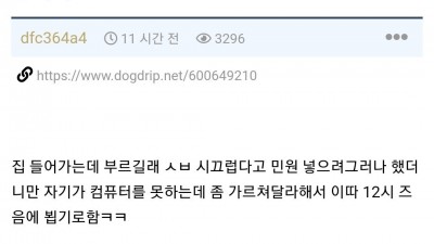 옆집 아줌마 집에 컴퓨터 가르쳐주러간 개붕이