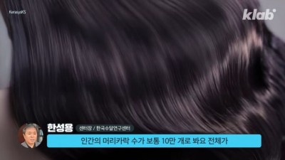 인간은 머리카락 수가 10만개라면서요
