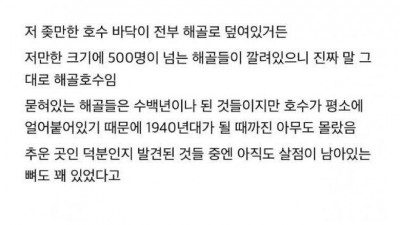 히말라야 미스테리