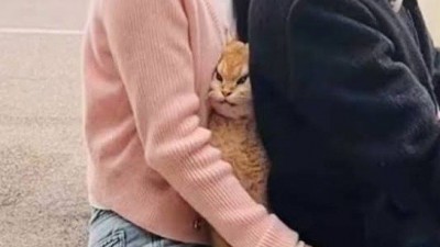 숨막힌다냥