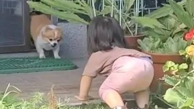 집안 서열 결정전