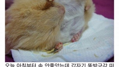 방구 바주카 함부로 쓰면 안되는 이유