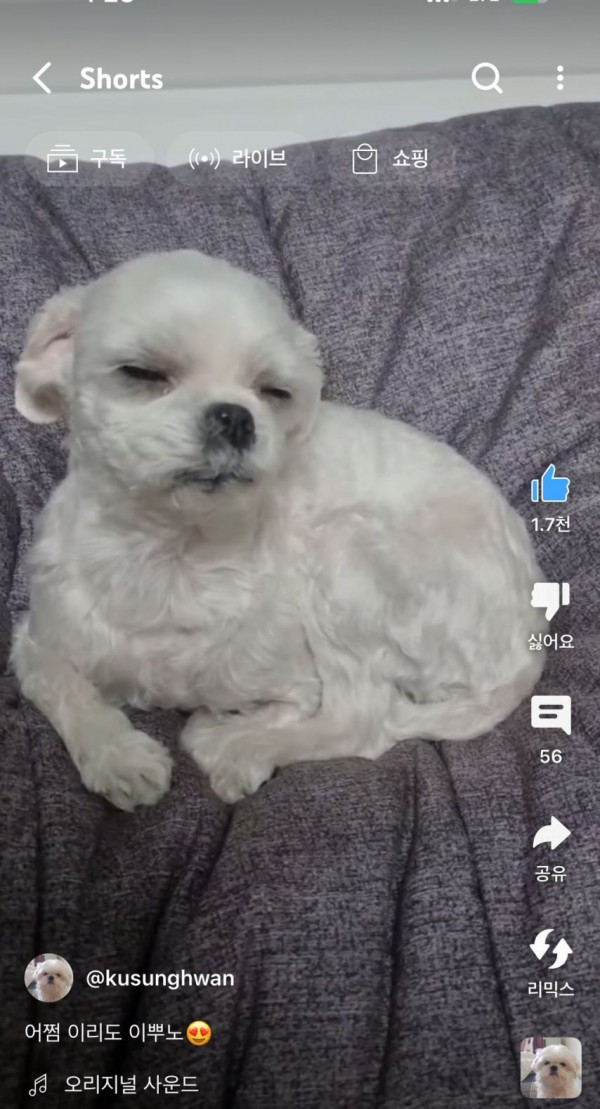 2728294355_DzCVHKmn_1717208303.jpeg