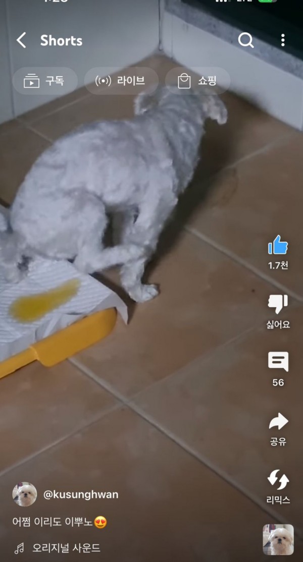 2728294355_KOGz17yZ_1717208303.jpeg
