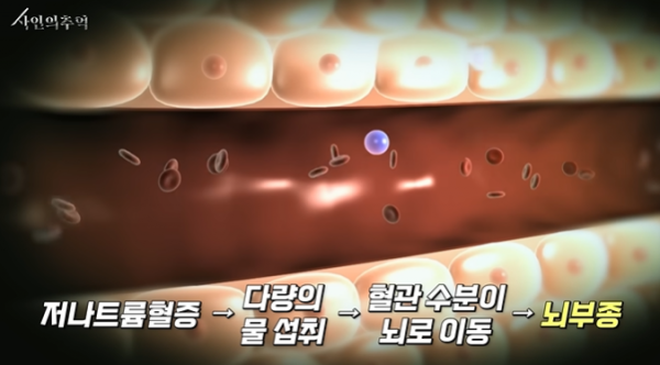 2728294355_RO9deQYo_1717208022.png