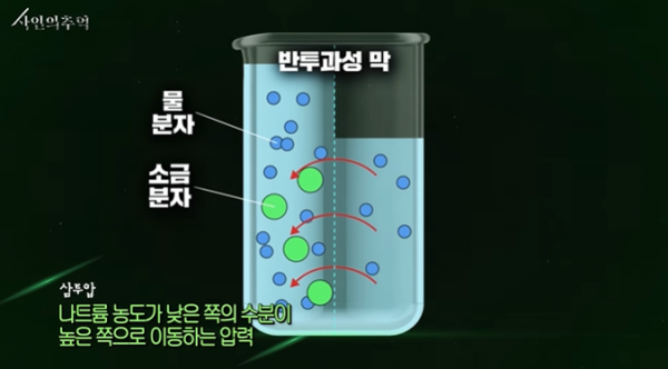 2728294355_zE4a7UDl_1717208129.png
