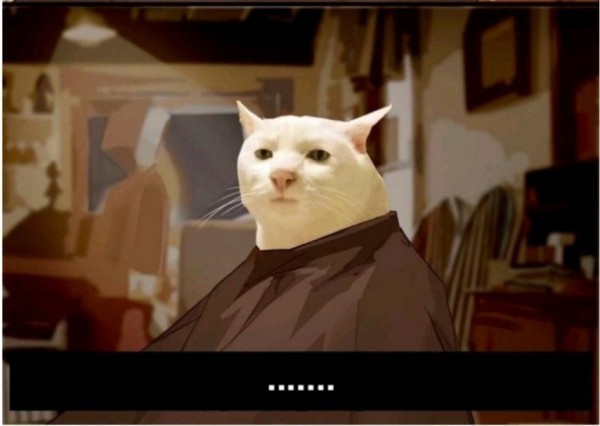 2890325792_WFViLECO_1719539315.jpeg