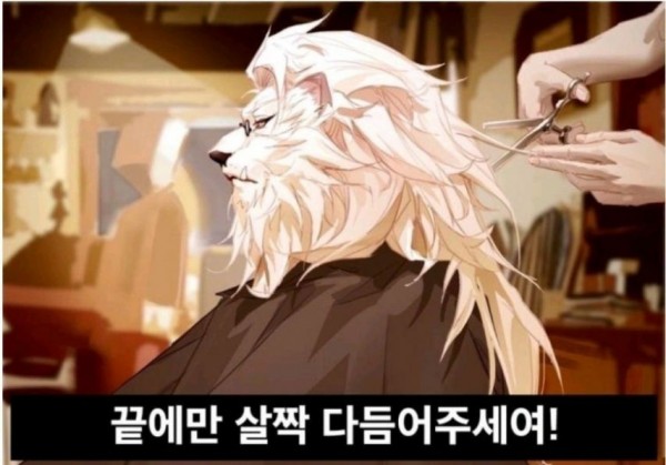 2890325792_le3TDA2X_1719539315.jpeg
