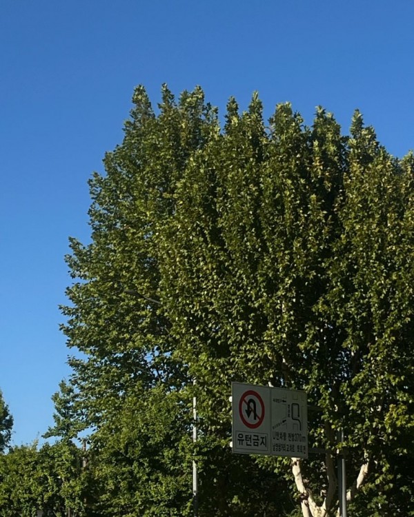 1090285671_42e3gcix_1727229095.jpeg