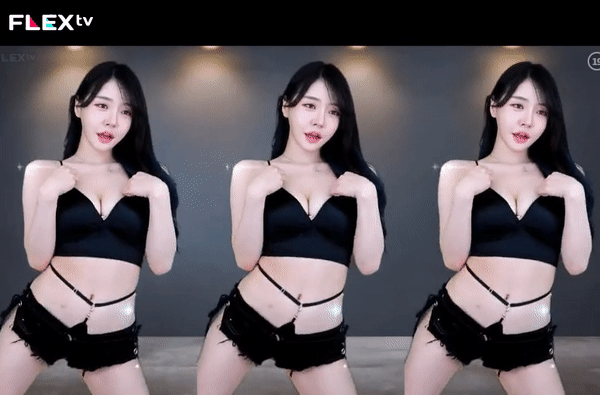 플렉스티비가을이