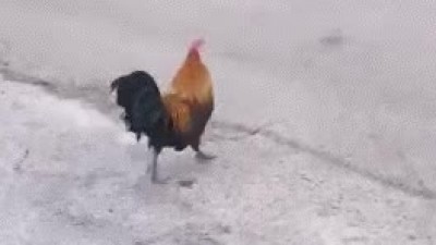 사형장