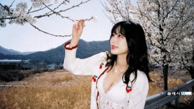 수련수련