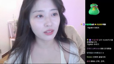레몬색 스포츠브라 가슴골 회색돌핀 Y존 소람잉