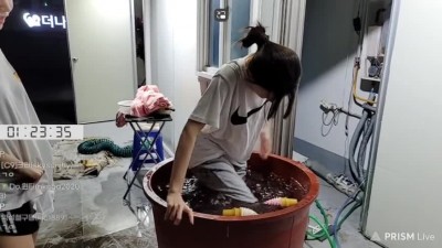 여캠들 얼음물 입수 모음