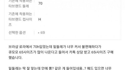 65H의속옷후기
