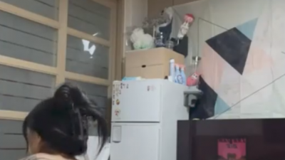 BJ뒷고레전드